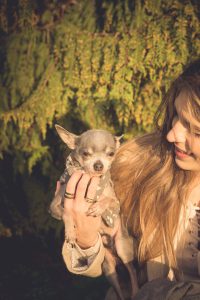 pets session in Aberdeen