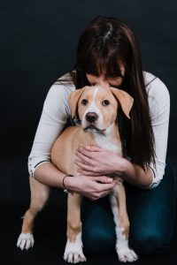 pets session in Aberdeen